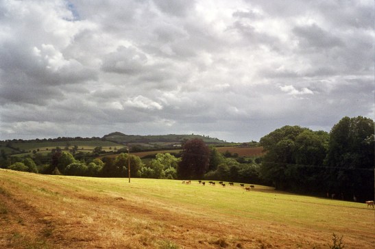 Autosave-File vom d-lab2/3 der AgfaPhoto GmbH