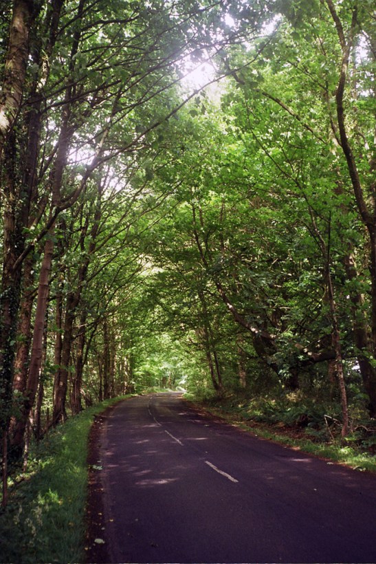 Autosave-File vom d-lab2/3 der AgfaPhoto GmbH