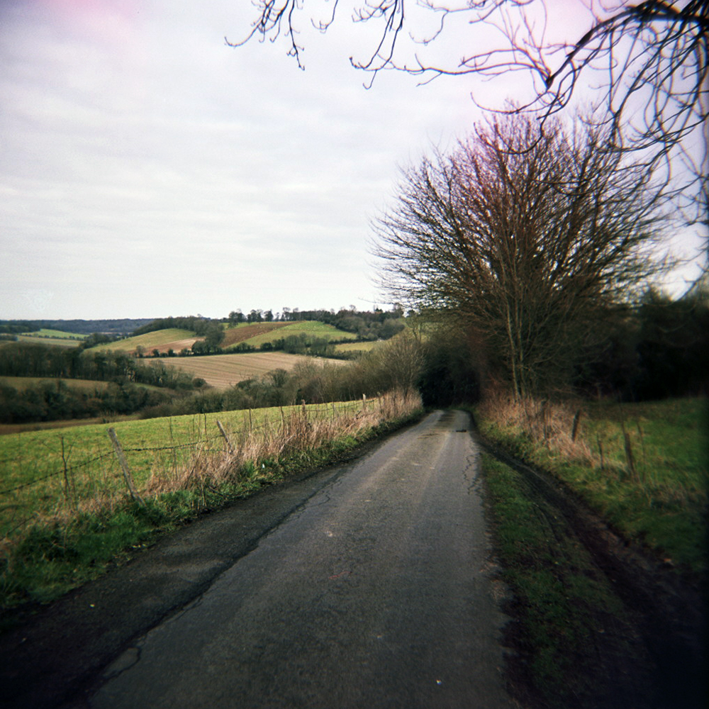 Across the North Downs