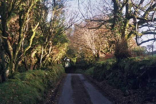 Autosave-File vom d-lab2/3 der AgfaPhoto GmbH