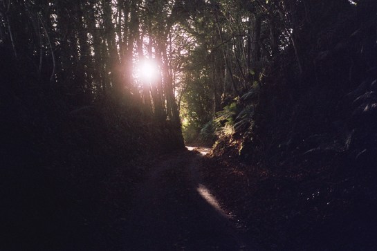 Autosave-File vom d-lab2/3 der AgfaPhoto GmbH