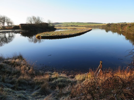 Cuckmere Meander