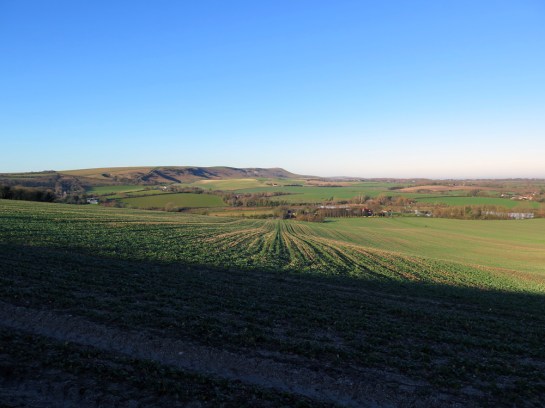 Yesterday we played in those hills. In fact I can see three of the paths we took...