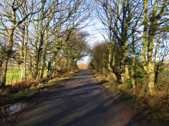 Claiming some flat kilometres around Golden Cross and Ripe before heading back to Brighton via Lewes.