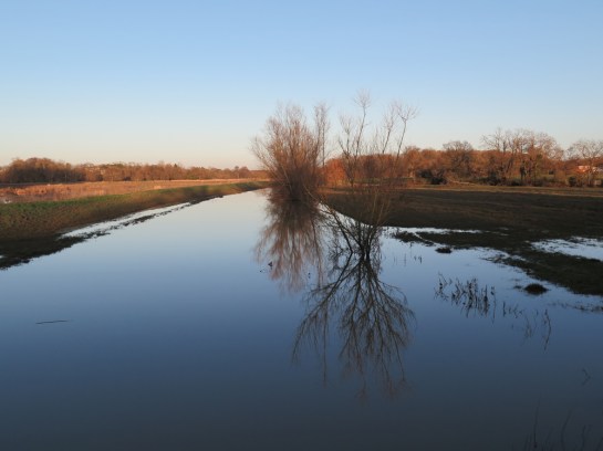 The River Adur has also retreated so I can get through to Partridge Green today.