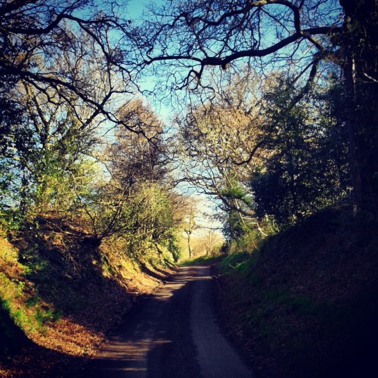 Long House Lane, heading north towards Warninglid