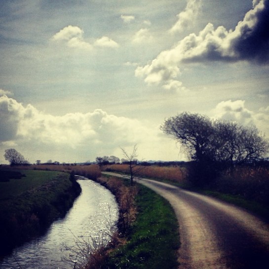 Onto Pevensey Levels