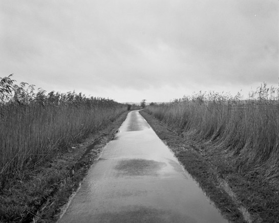 Autosave-File vom d-lab2/3 der AgfaPhoto GmbH