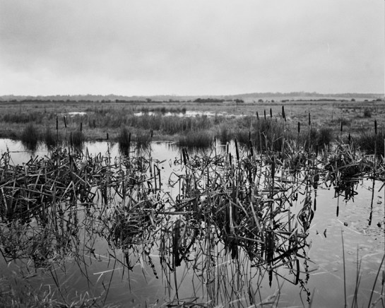 Autosave-File vom d-lab2/3 der AgfaPhoto GmbH