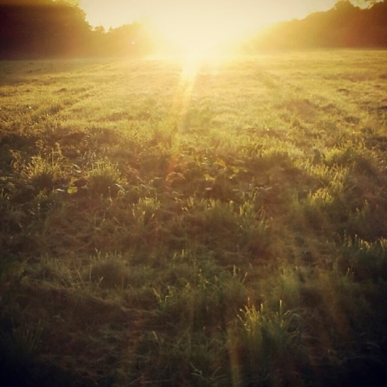 IMG_20121004_092317_cropped