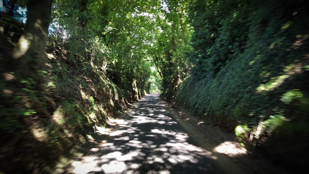 Kingdom of the East&nbsp;Saxons