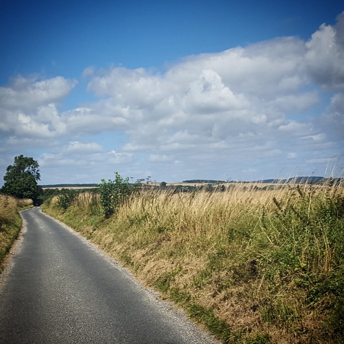 wp-1470717641767.jpg