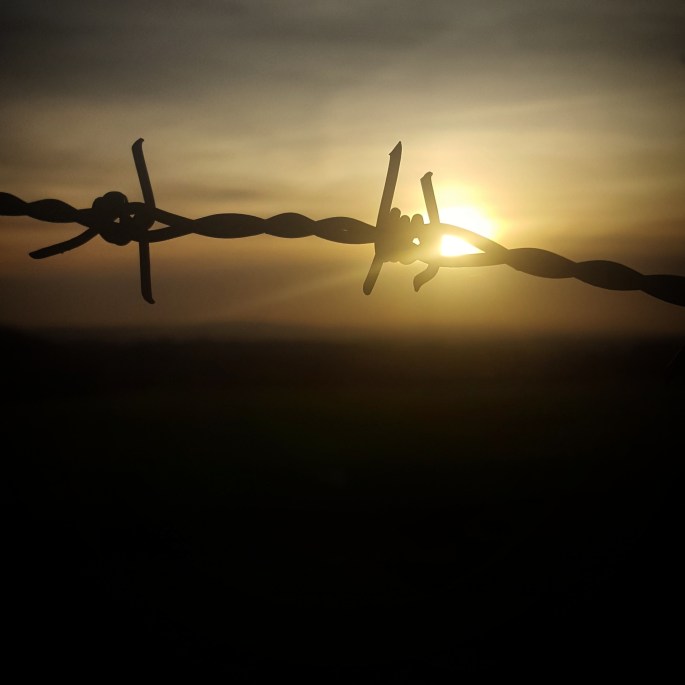 img_20161227_220418_698