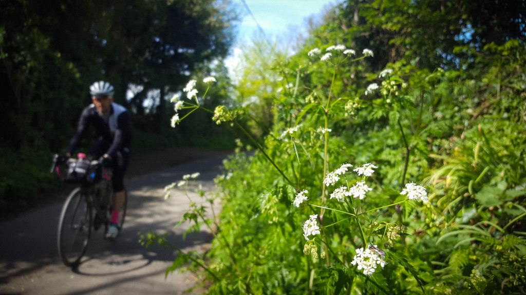 Bespoked Weekender 2017