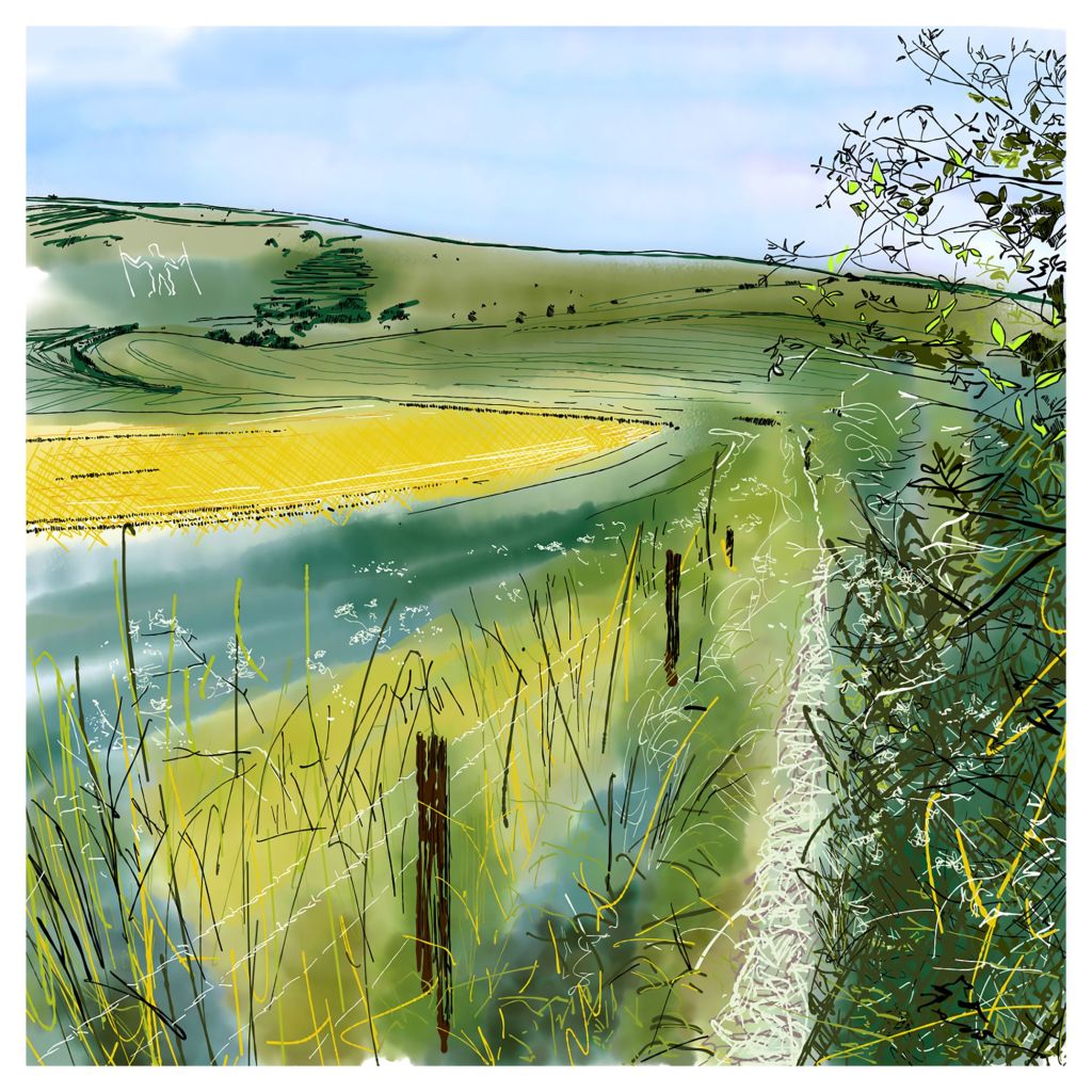 South Downs Scribbles