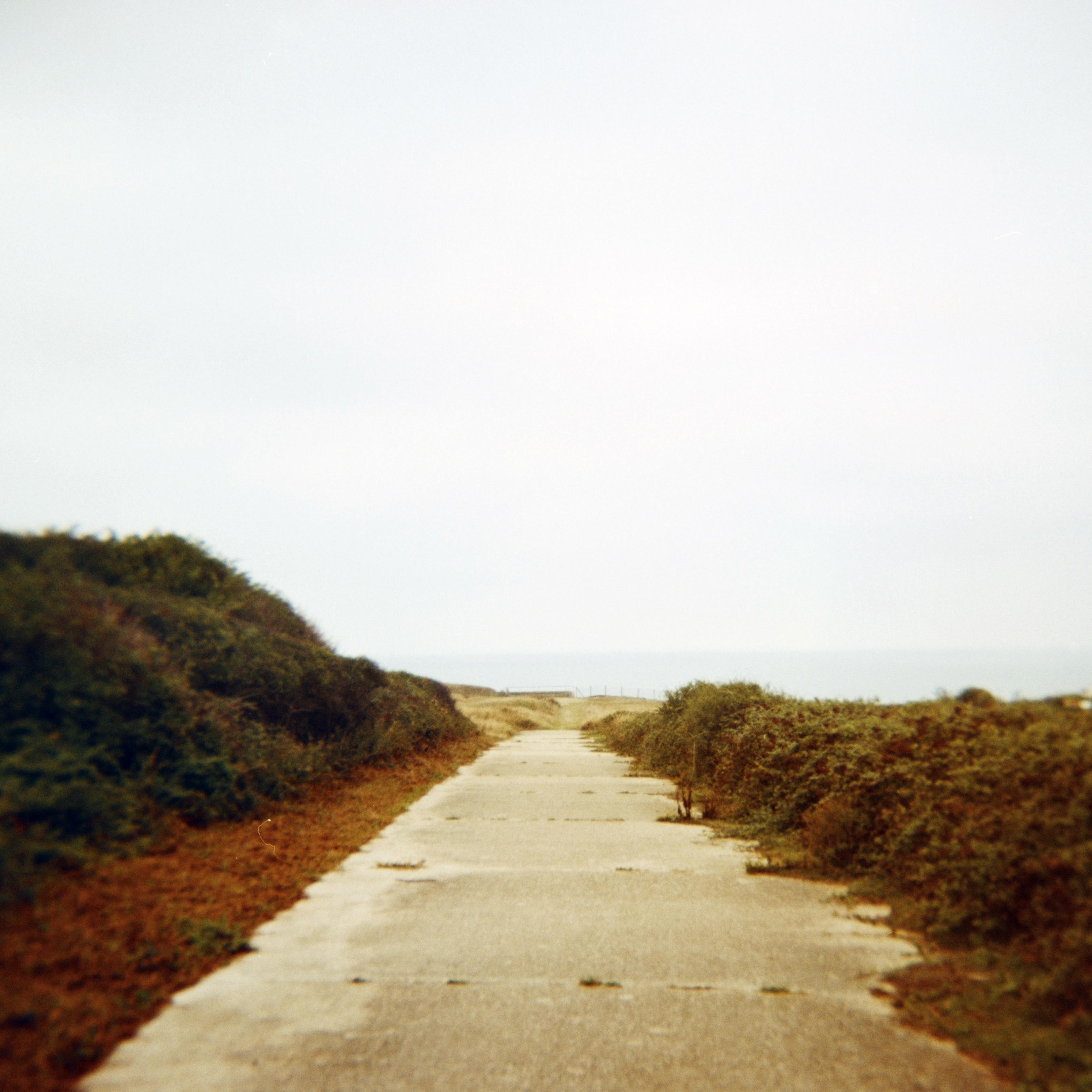 Formations – the man from icon